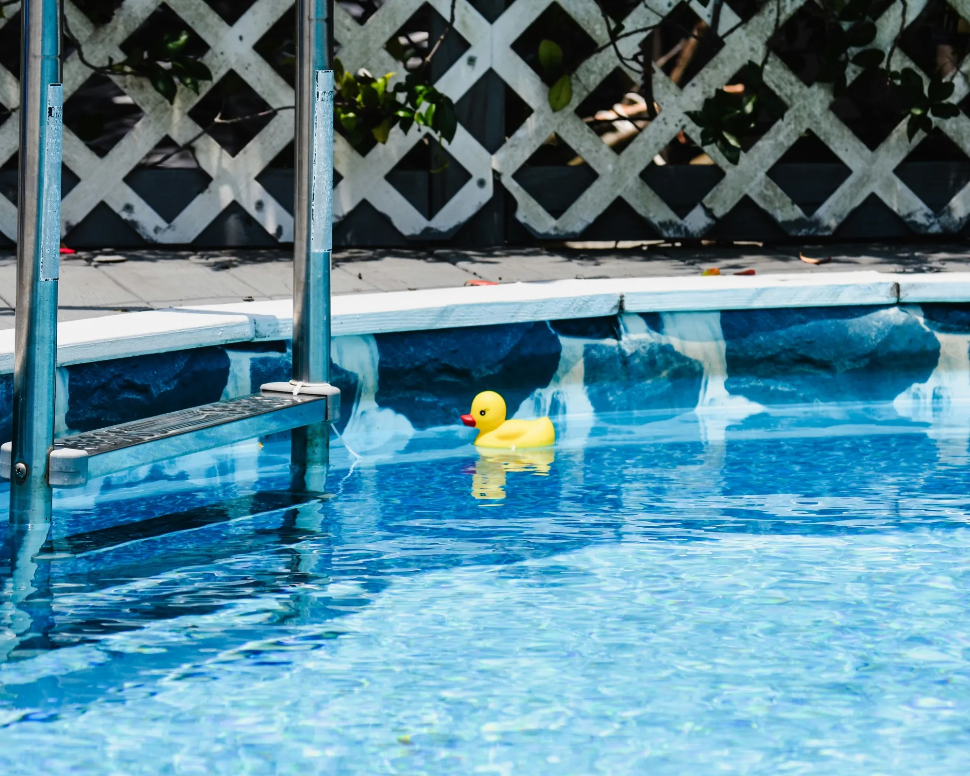 Rubber duck floating in a clear blue pool beside the pool ladder