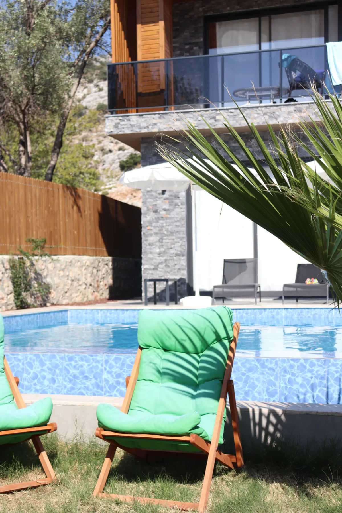 Backyard pool at a family home with a timber boundary fence